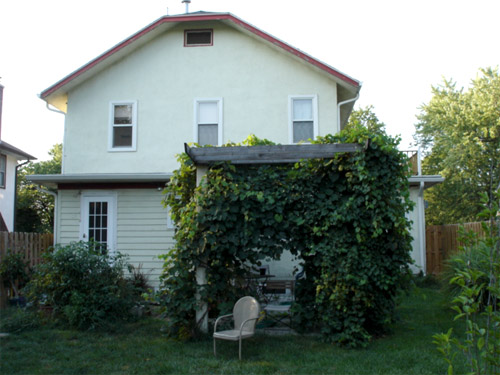 backyard and house