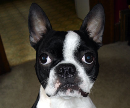 Zoey looking serious