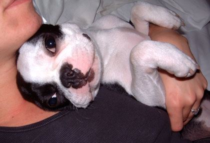 TG and Elsa cuddling