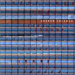 Everything Was Beautiful And Nothing Hurt